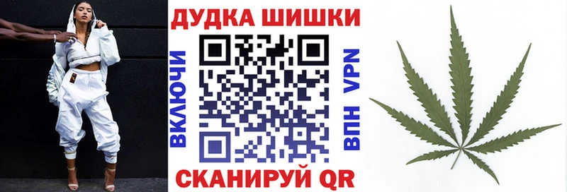 купить наркоту  Пикалёво  Конопля сатива 